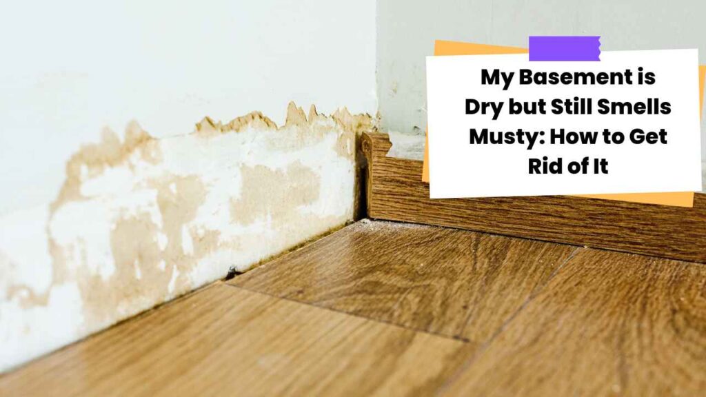 my basement is dry but still smells musty